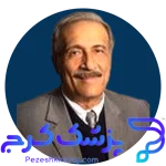 دکتر محمد حسین محمودیان