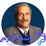 دکتر محمدحسین محمودیان